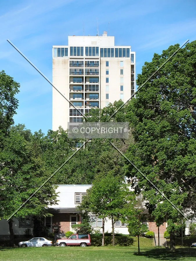 Top floors rising over trees, from Lake Calhoun