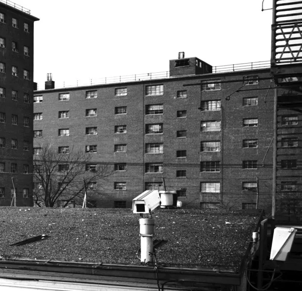 Photo 010-315-704