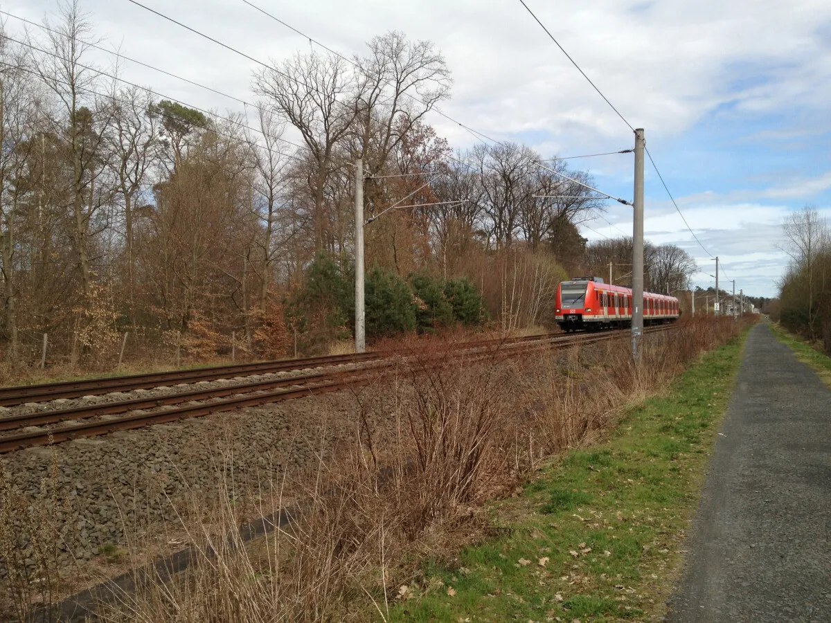 Photo 103-317-400