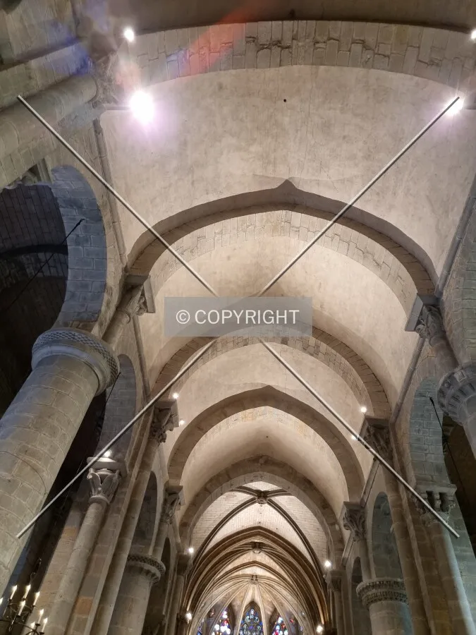 Photo 103-386-298