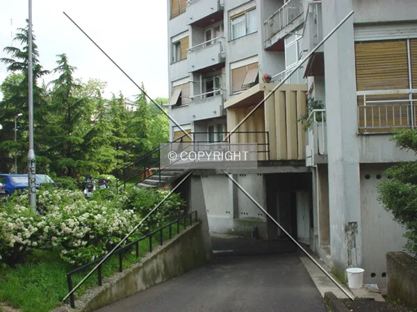 Photo 103-415-571