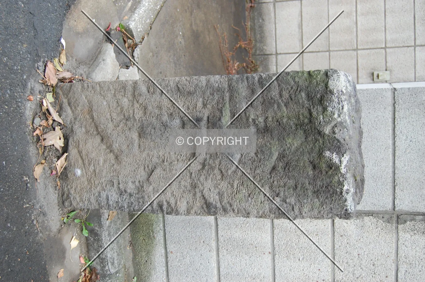 Photo 010-350-916