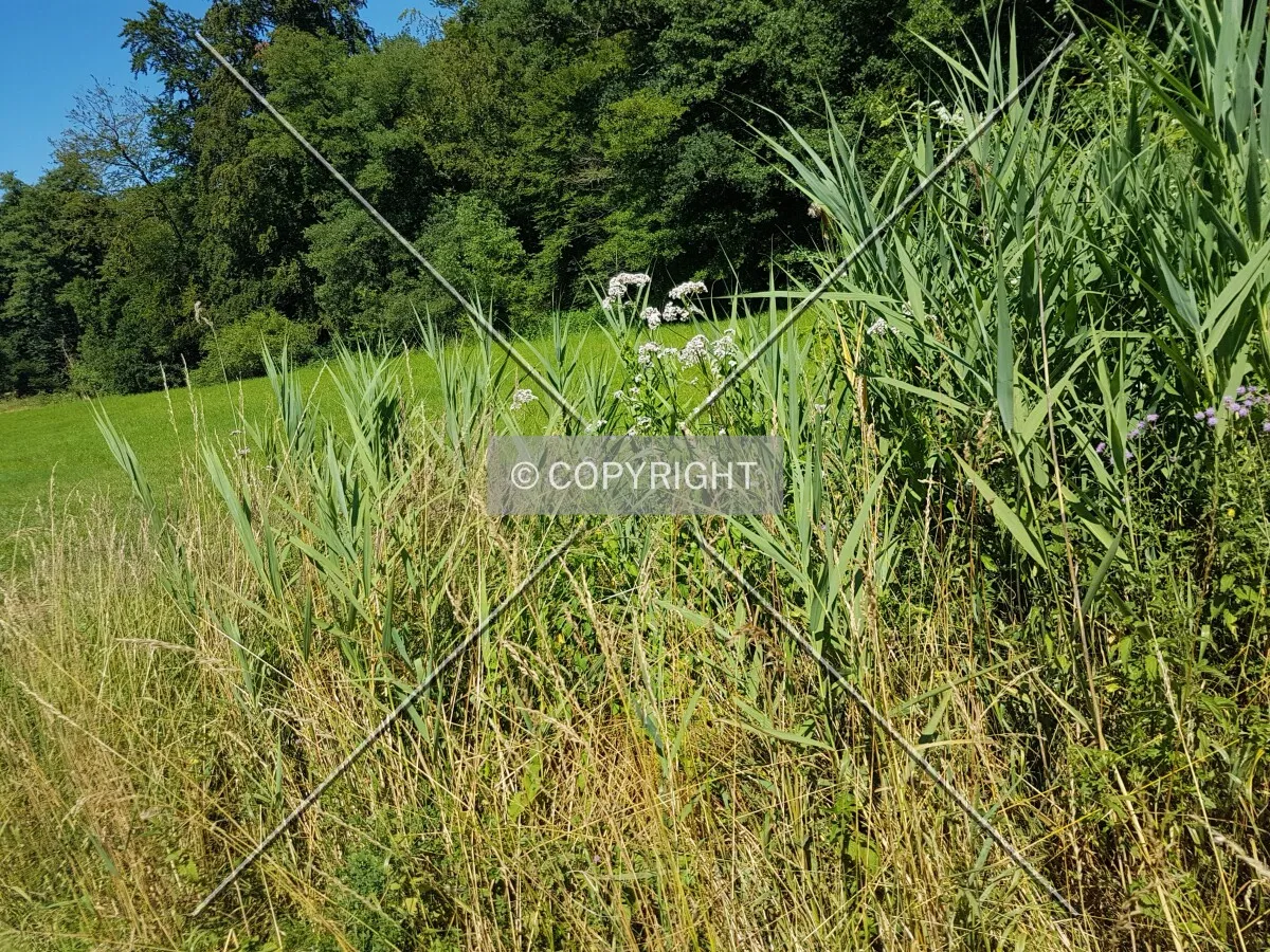 Photo 010-373-063