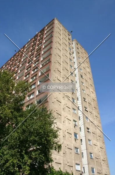 Photo 010-375-137