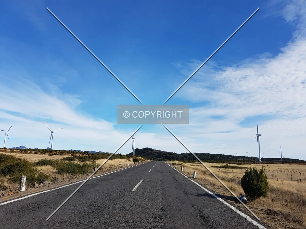 Photo 103-957-942