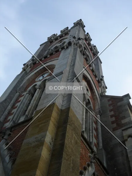 Photo 103-981-556