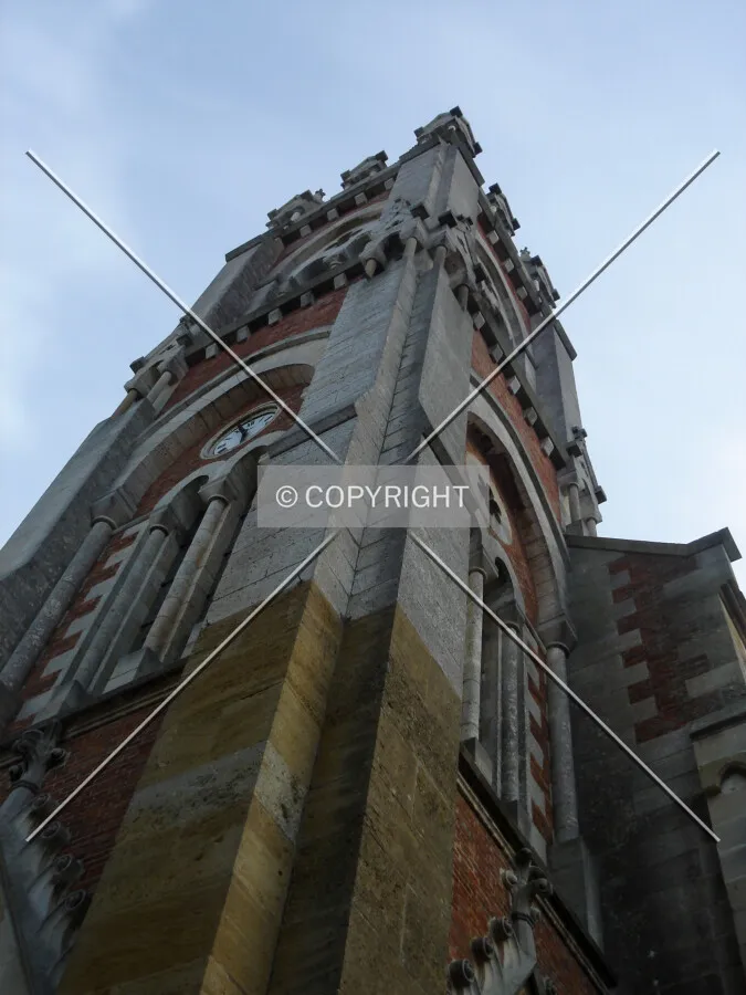 Photo 103-981-556