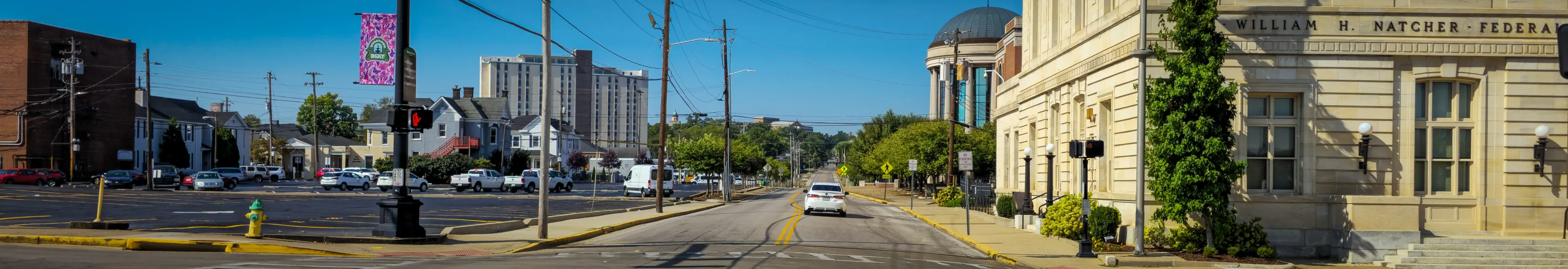 Panorama of Bowling Green