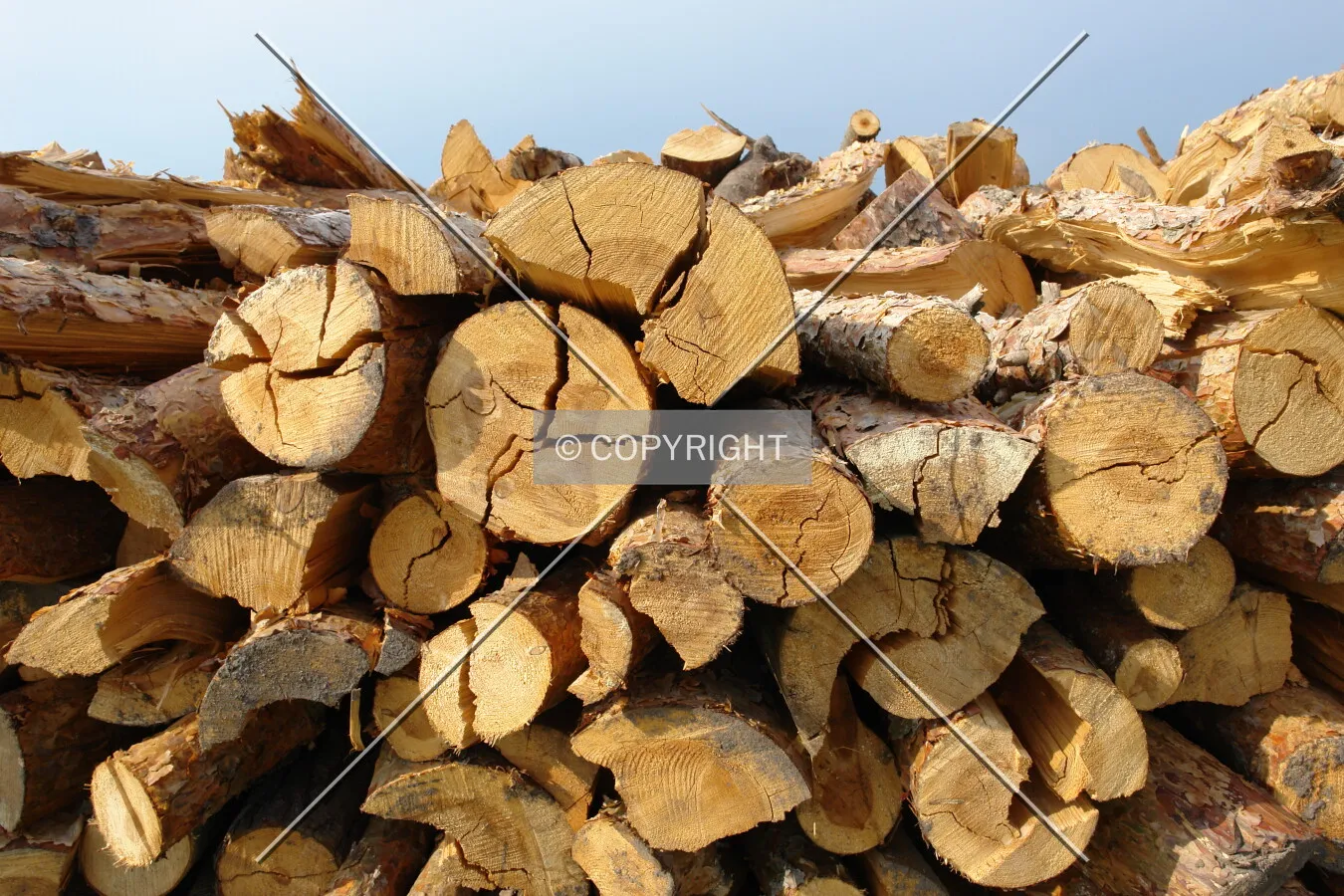 A stack of wood