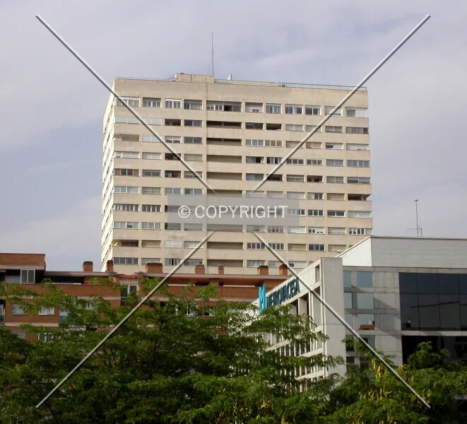 Photo 104-706-523