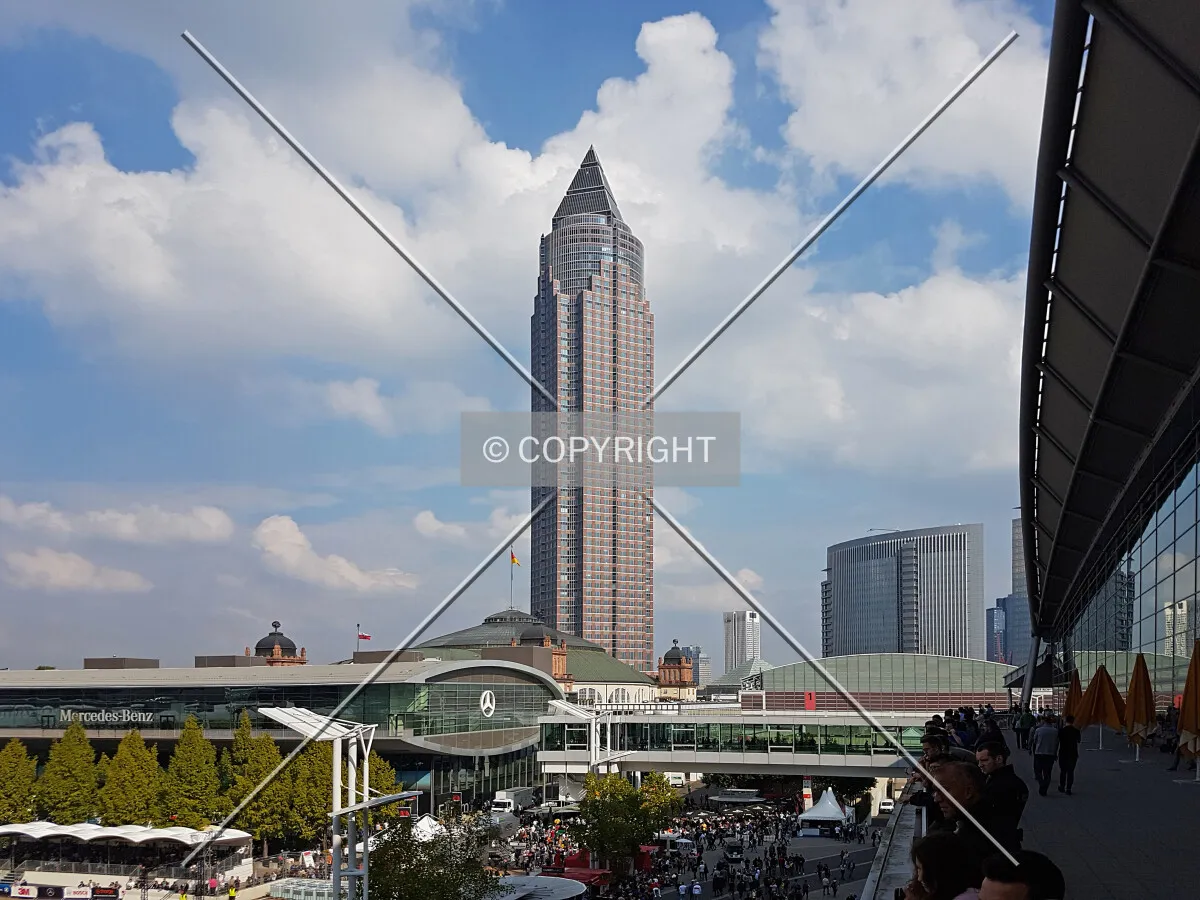 Photo 104-742-647