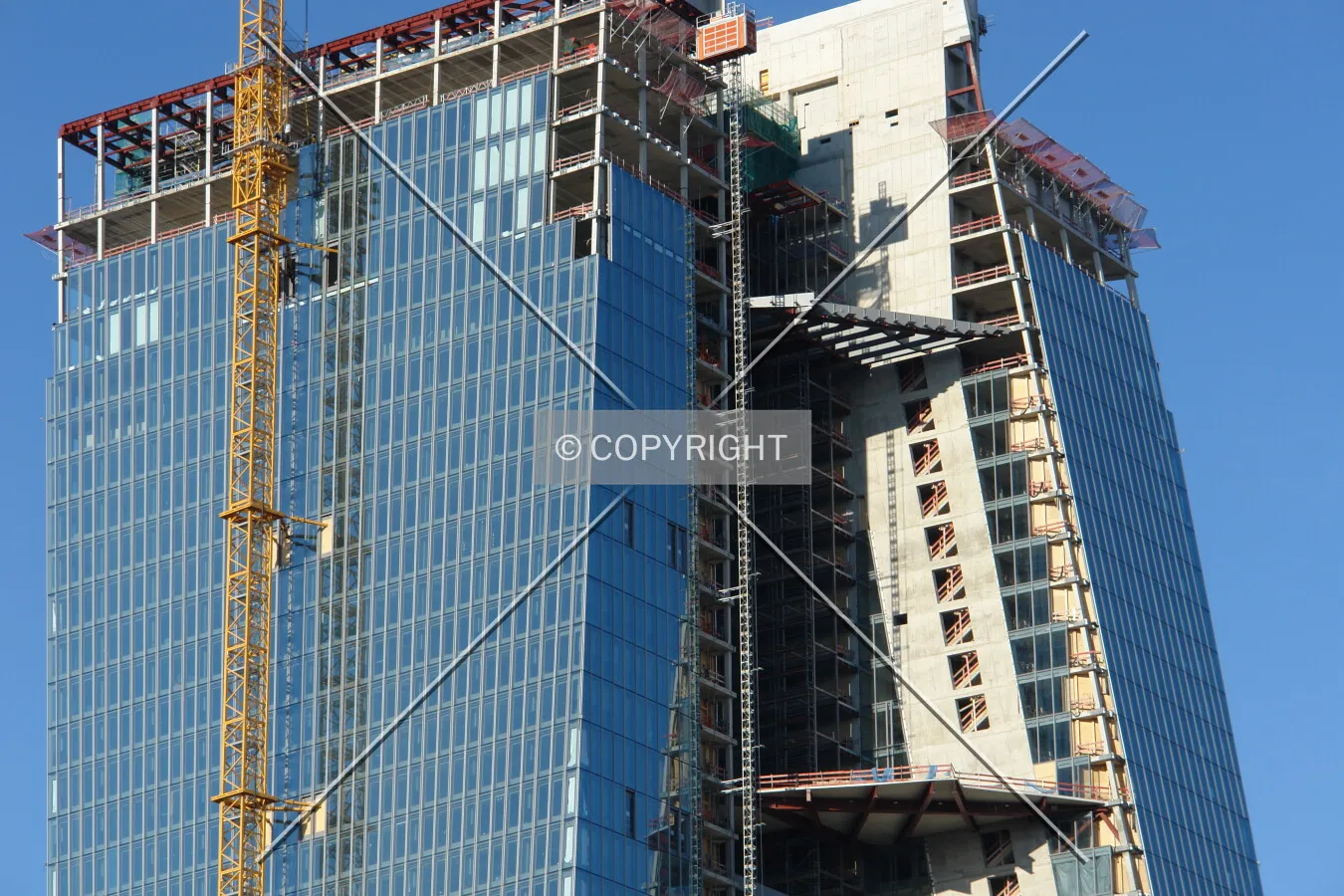 Photo 104-913-402