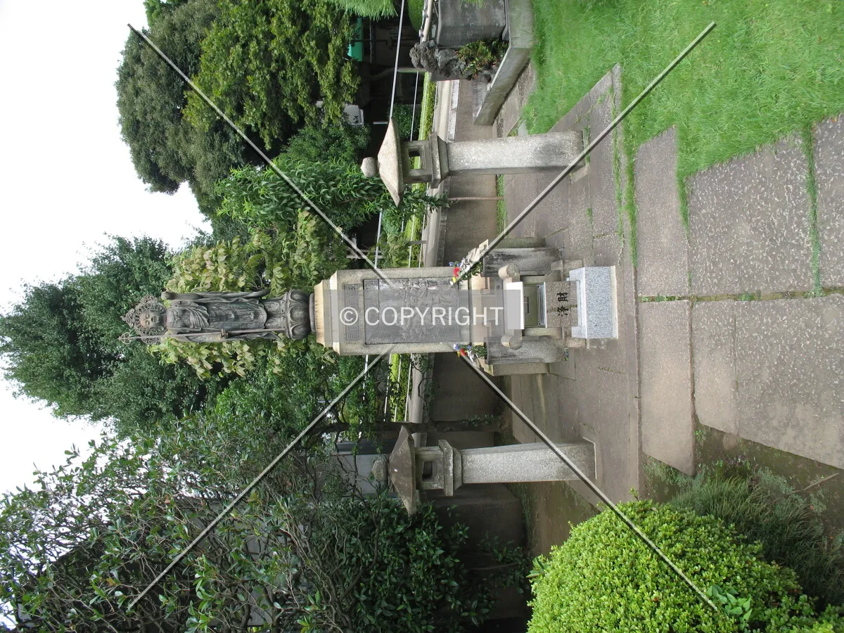 Photo 010-507-387
