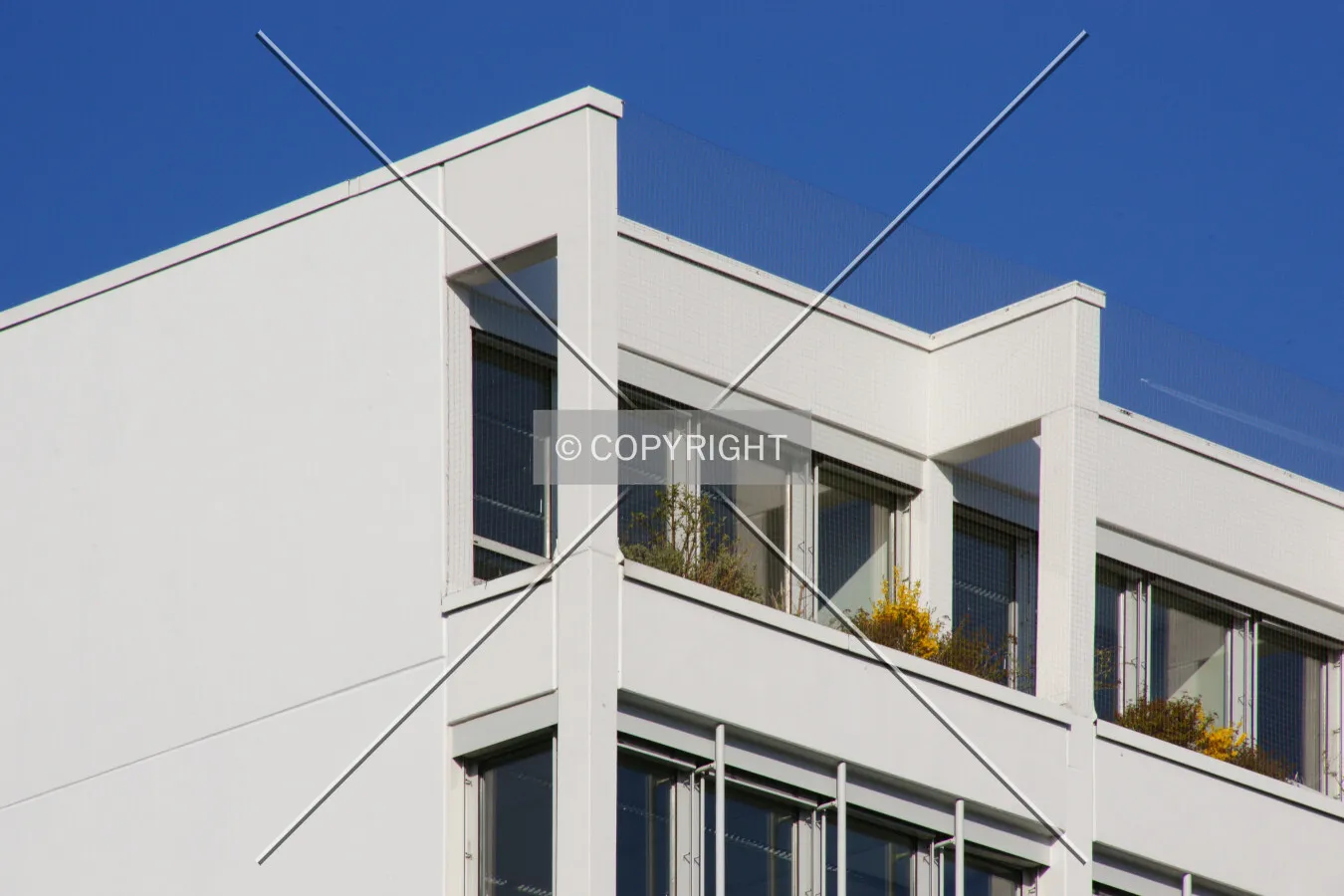 Photo 105-516-121