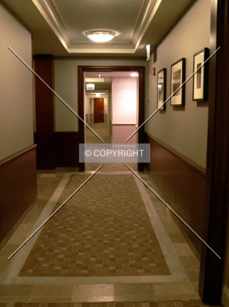Photo 105-667-269