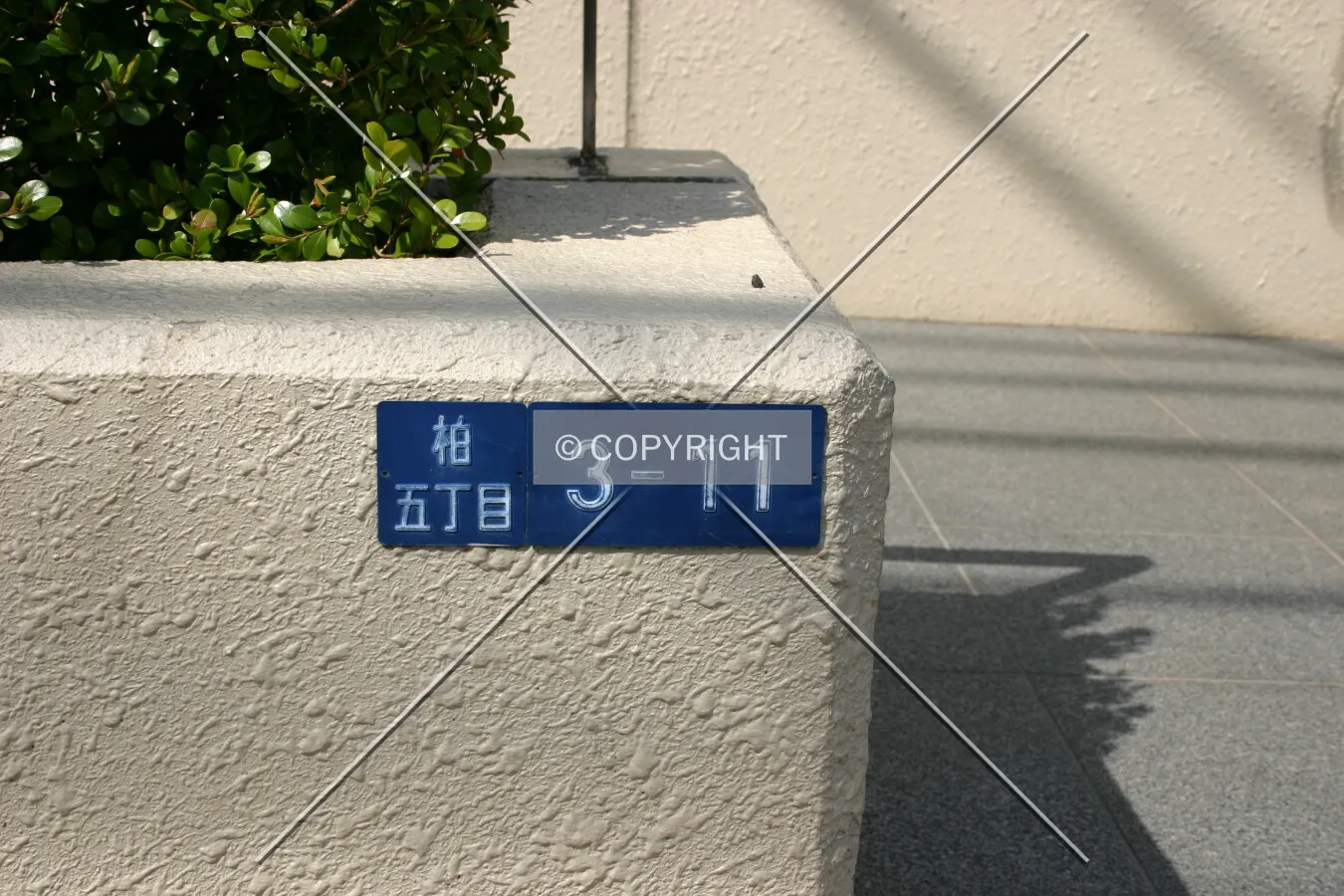 Photo 010-595-698