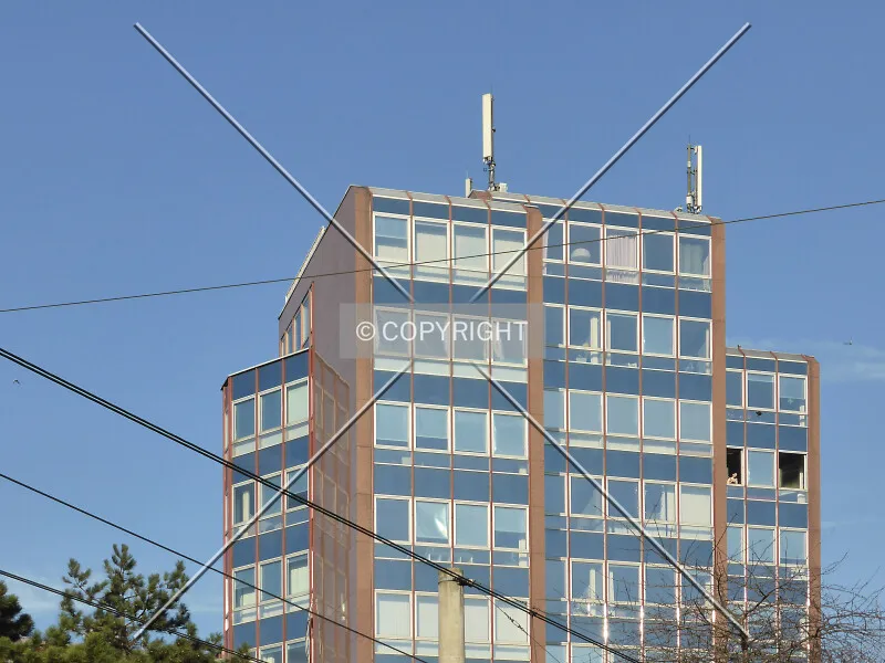 Photo 106-173-960