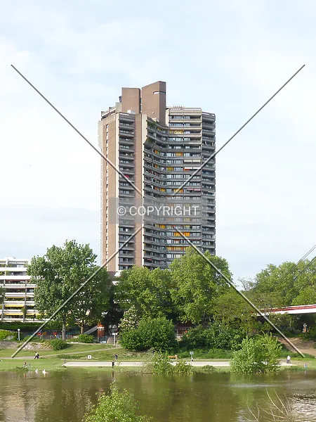 Photo 106-224-803