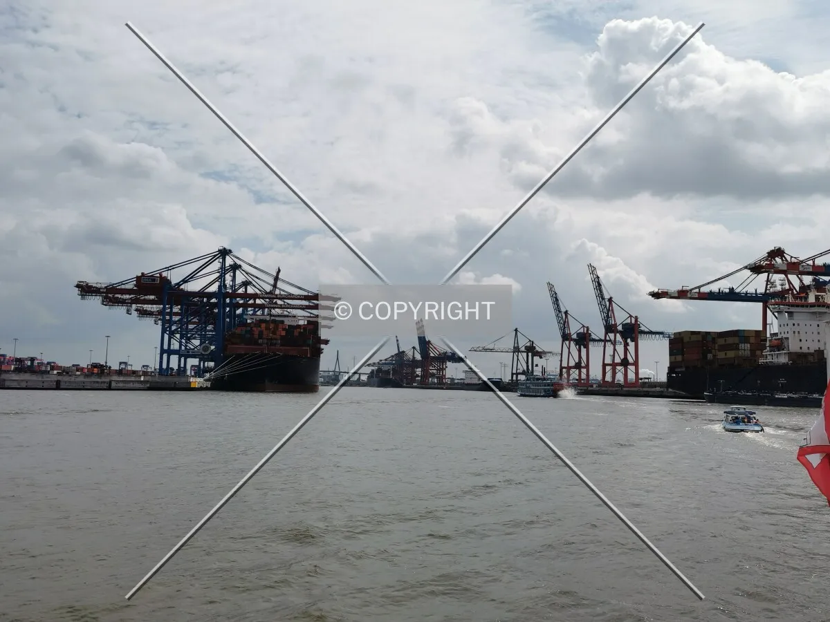 Photo 106-245-726