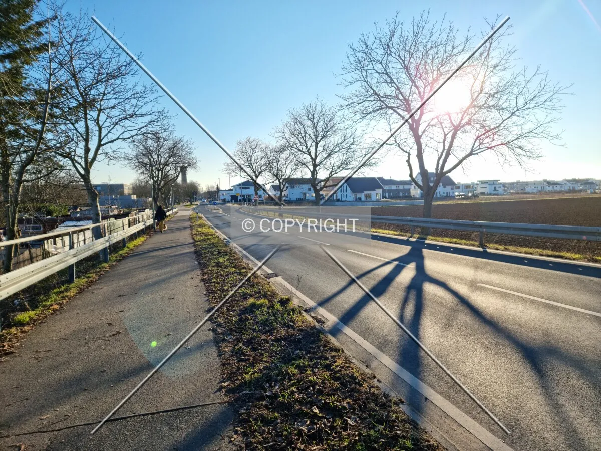 Photo 106-432-416