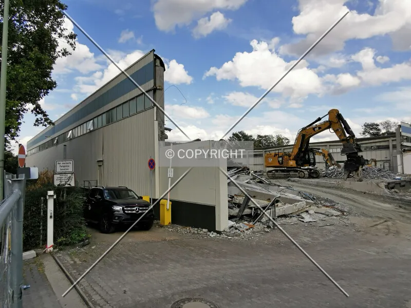 Photo 106-478-425