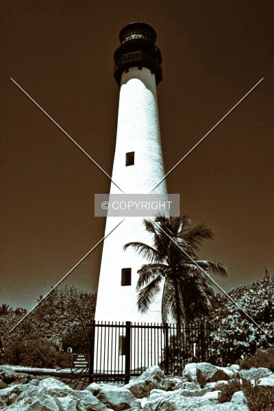 Photo 106-997-136