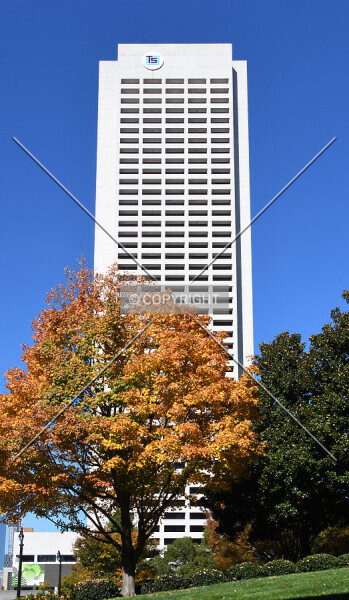 Photo 107-133-837