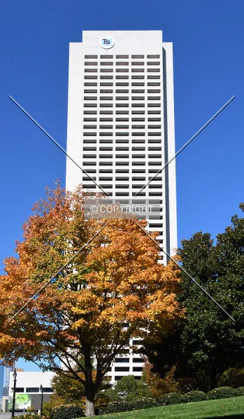 Photo 107-133-837