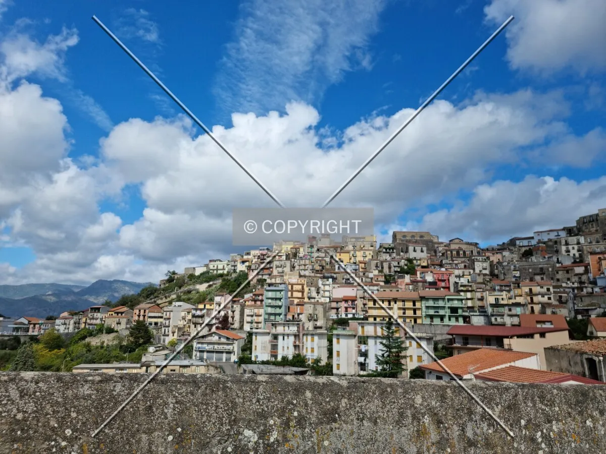 Photo 107-501-613