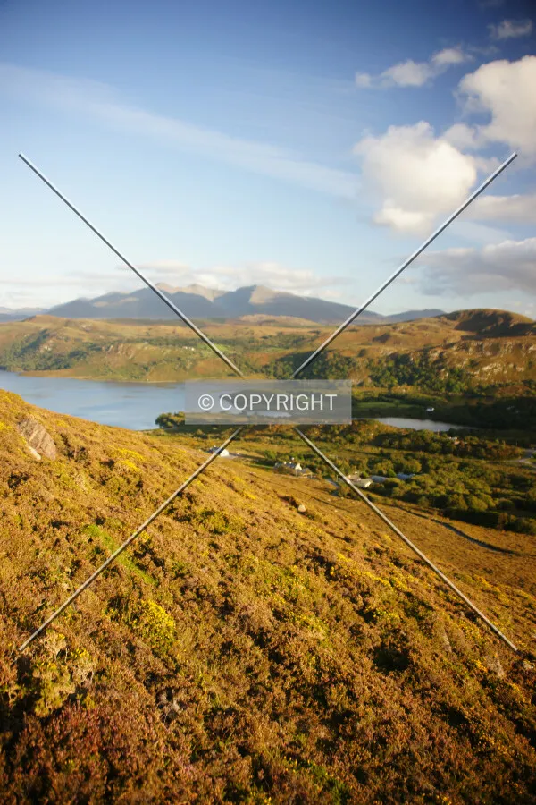 Photo 010-759-902