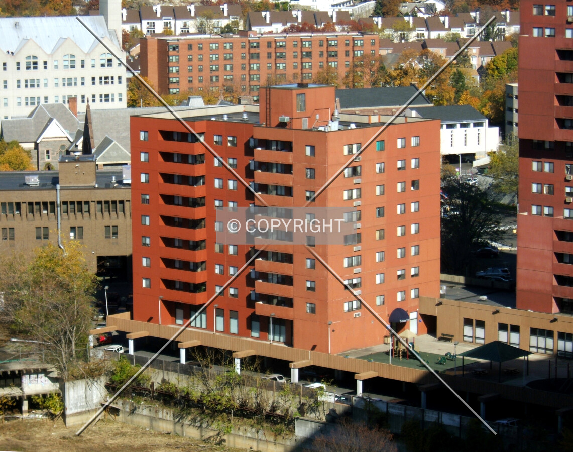View from the southwest