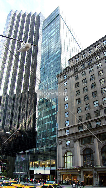 Photo 107-828-793