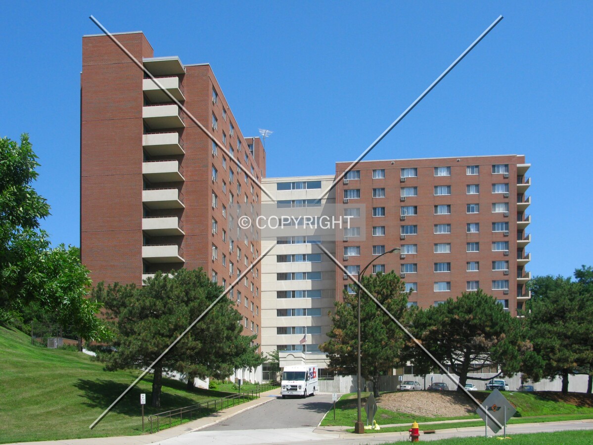 View to the north across University Avenue