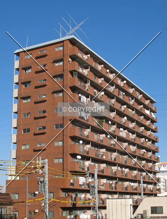 View from the southeast
