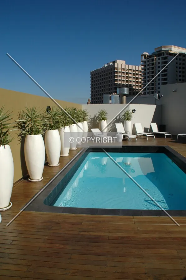 The rooftop pool