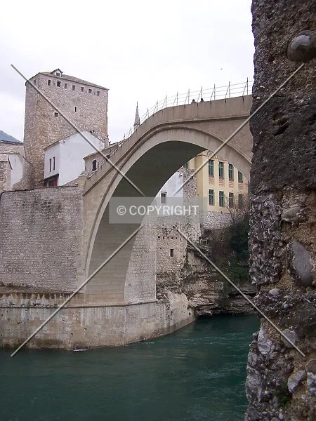 Photo 108-419-843