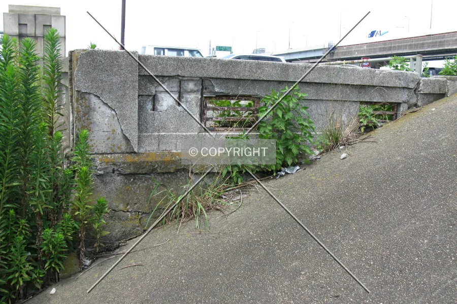 Photo 108-444-520
