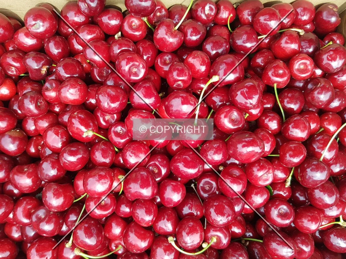 Cherries