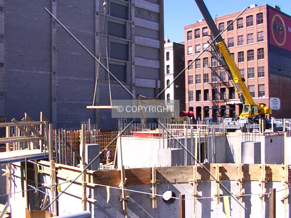 Crane in motion