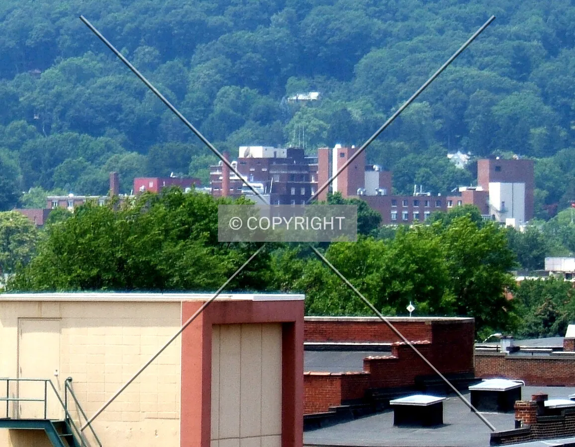View from the southeast