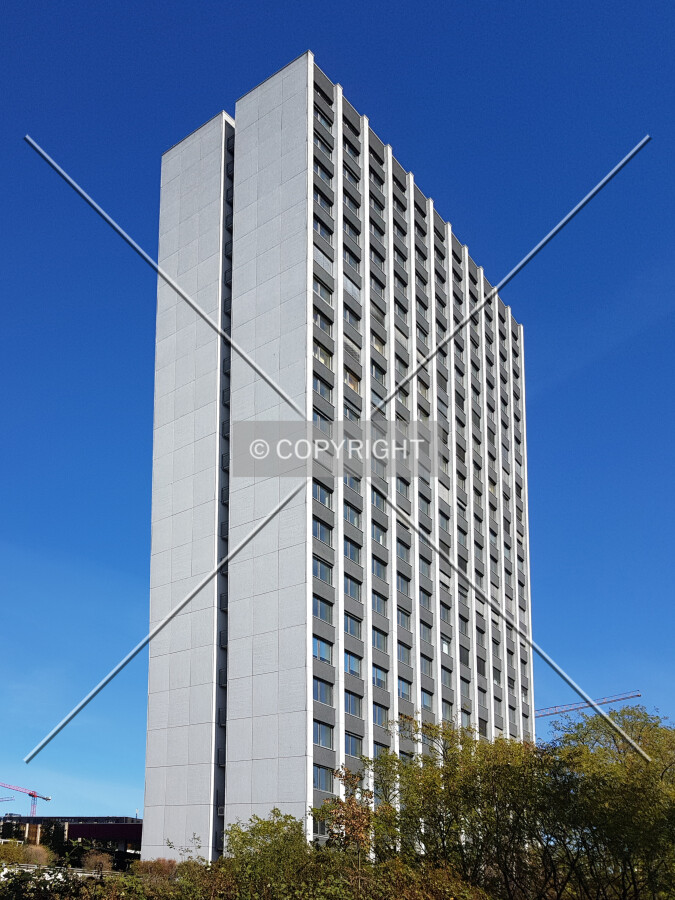 Photo 108-650-699