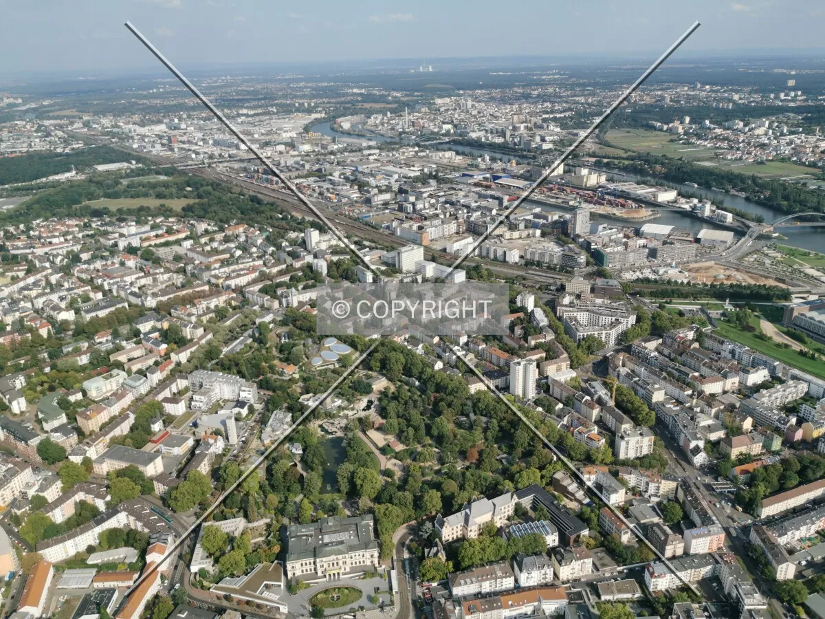 Flight with a helicopter over Frankfurt