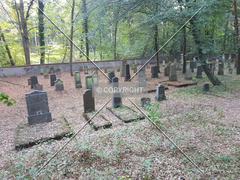 Photo 109-031-874