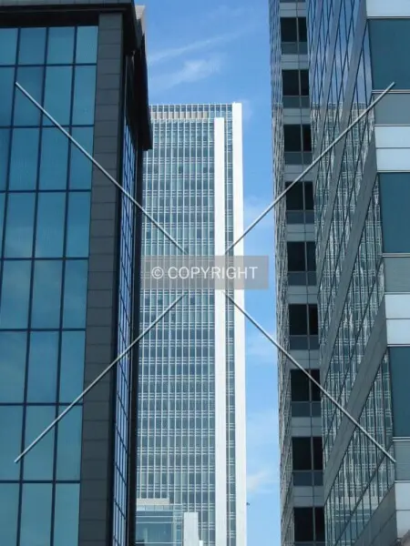 Photo 109-325-981