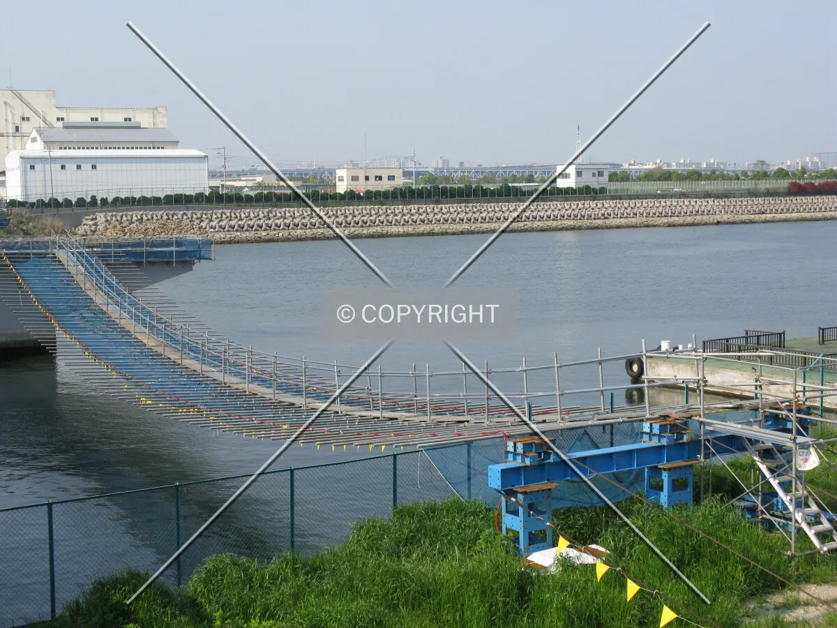 Photo 109-519-339