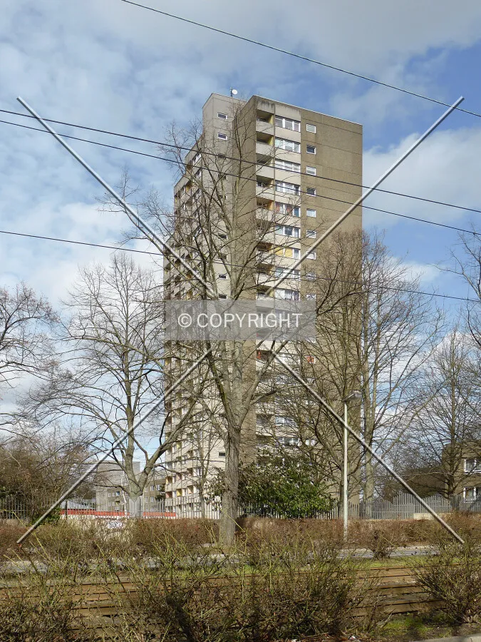 Photo 109-553-092