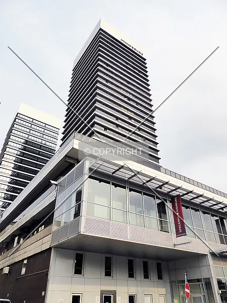 Photo 109-897-649
