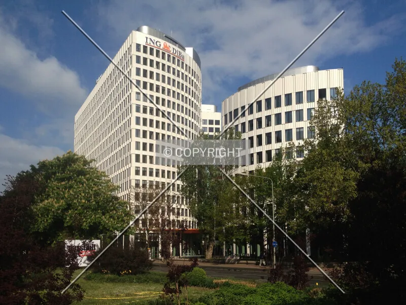 Photo 010-996-454