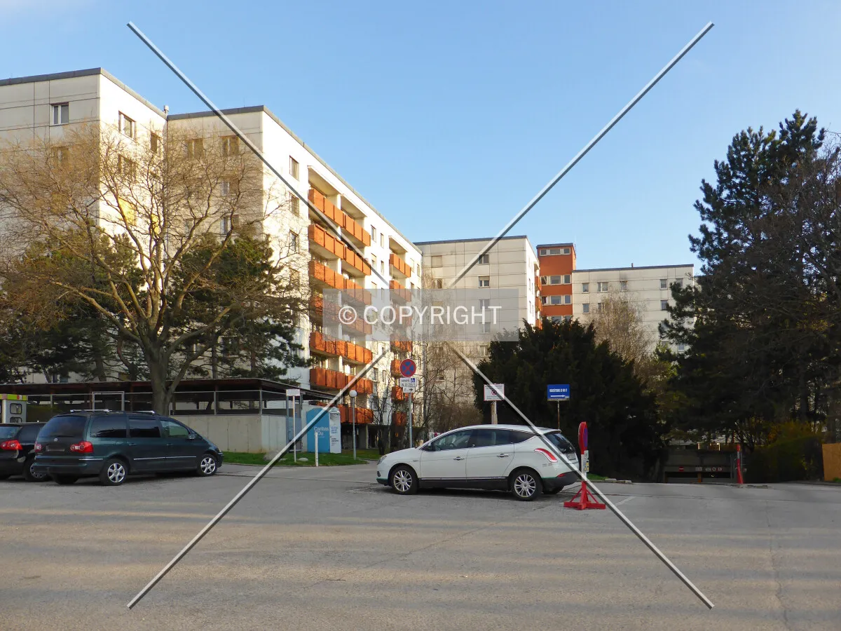 Photo 110-071-344