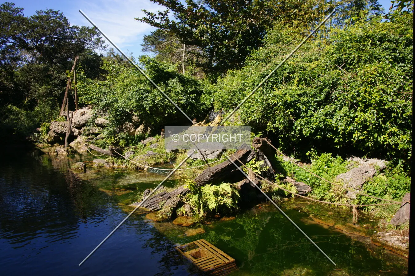 Photo 110-276-914